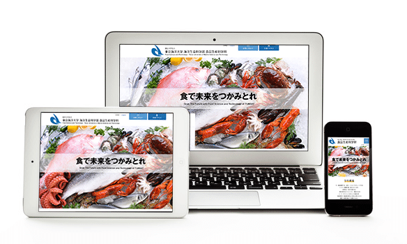 p-kaiyo-s